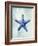 Starfish B-GI ArtLab-Framed Giclee Print