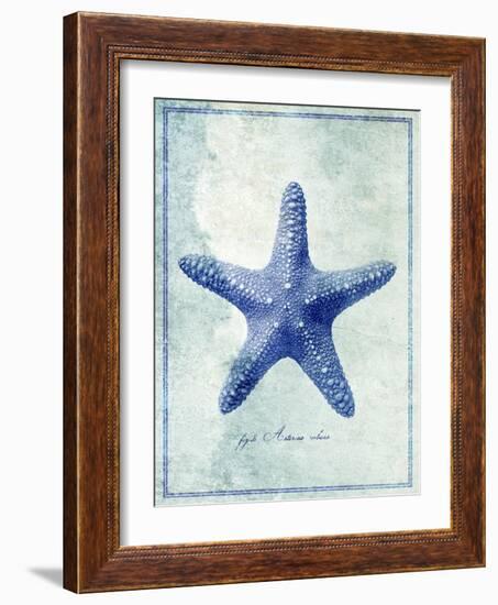 Starfish B-GI ArtLab-Framed Giclee Print