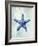 Starfish B-GI ArtLab-Framed Giclee Print