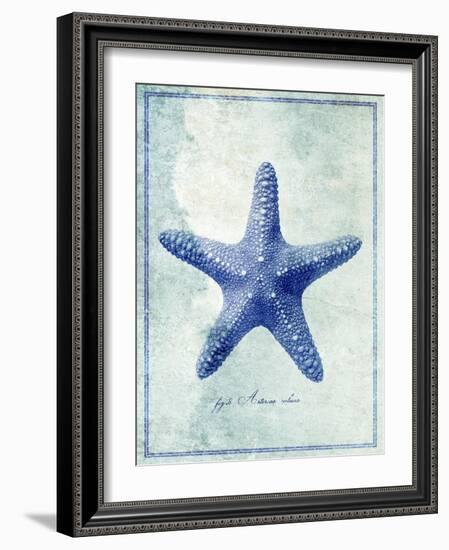 Starfish B-GI ArtLab-Framed Giclee Print