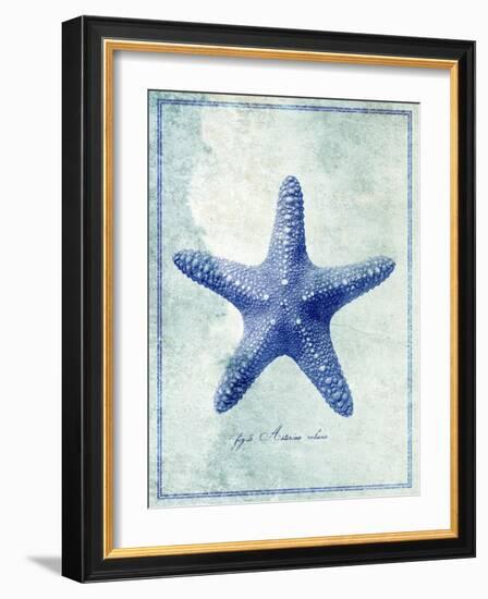 Starfish B-GI ArtLab-Framed Giclee Print