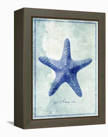 Starfish B-GI ArtLab-Framed Premier Image Canvas