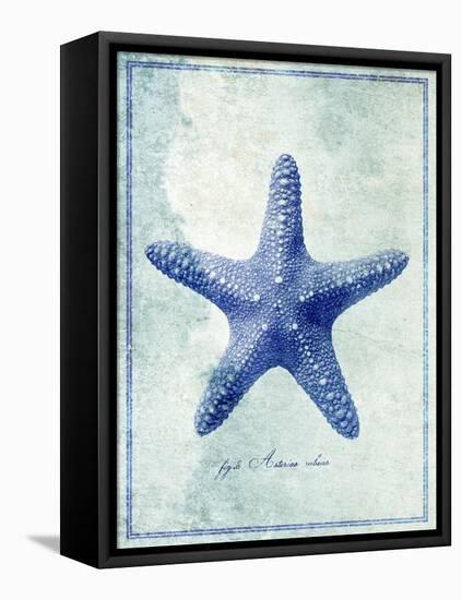 Starfish B-GI ArtLab-Framed Premier Image Canvas