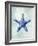 Starfish B-GI ArtLab-Framed Premium Giclee Print