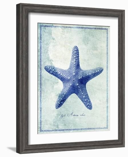 Starfish B-GI ArtLab-Framed Premium Giclee Print