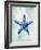 Starfish B-GI ArtLab-Framed Premium Giclee Print