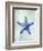 Starfish B-GI ArtLab-Framed Giclee Print