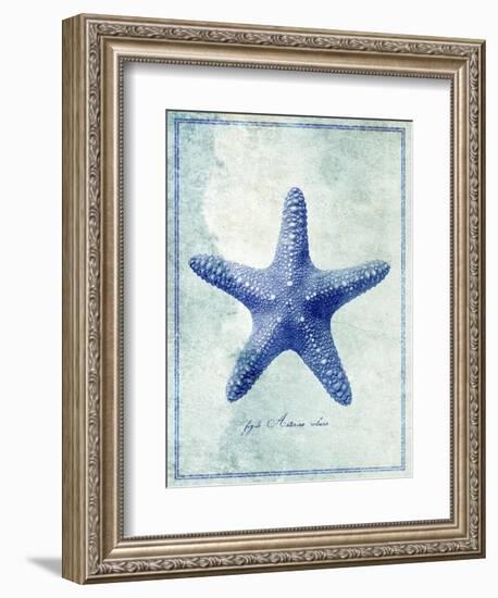 Starfish B-GI ArtLab-Framed Giclee Print