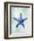 Starfish B-GI ArtLab-Framed Giclee Print