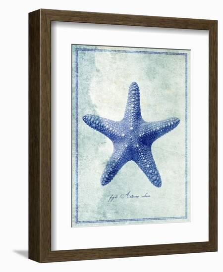 Starfish B-GI ArtLab-Framed Giclee Print