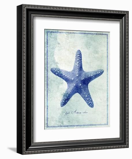 Starfish B-GI ArtLab-Framed Giclee Print