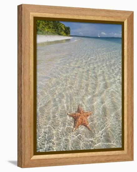 Starfish Beach, Bocas Del Drago, Isla Colon, Bocas Del Toro, Panama, Central America-null-Framed Premier Image Canvas