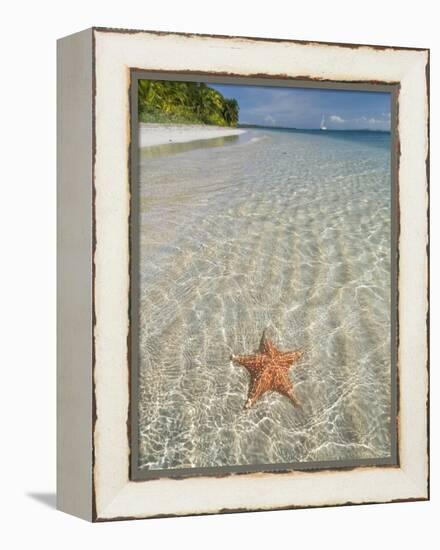 Starfish Beach, Bocas Del Drago, Isla Colon, Bocas Del Toro, Panama, Central America-null-Framed Premier Image Canvas