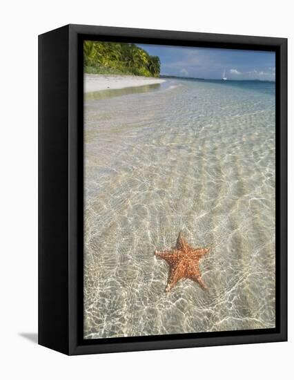 Starfish Beach, Bocas Del Drago, Isla Colon, Bocas Del Toro, Panama, Central America-null-Framed Premier Image Canvas