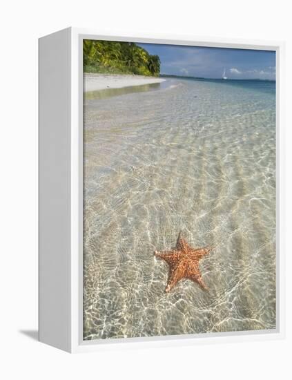 Starfish Beach, Bocas Del Drago, Isla Colon, Bocas Del Toro, Panama, Central America-null-Framed Premier Image Canvas