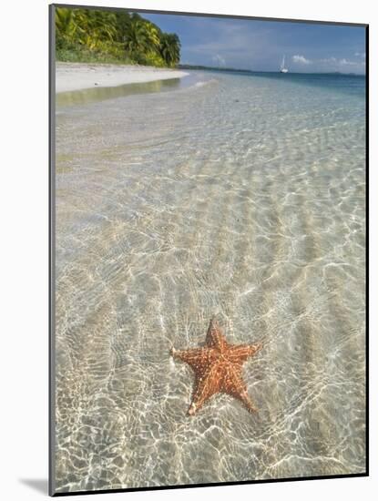 Starfish Beach, Bocas Del Drago, Isla Colon, Bocas Del Toro, Panama, Central America-null-Mounted Photographic Print