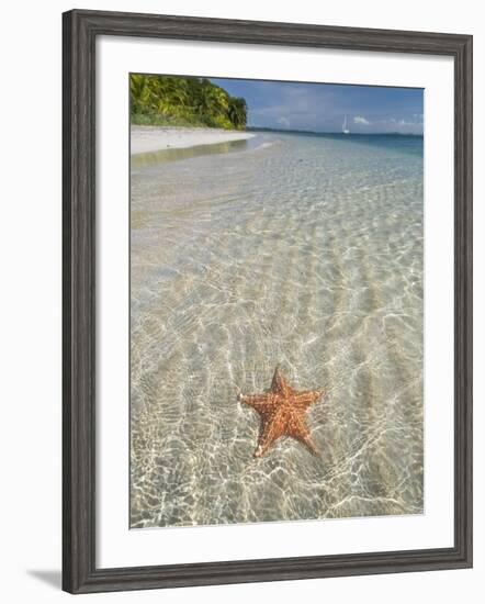 Starfish Beach, Bocas Del Drago, Isla Colon, Bocas Del Toro, Panama, Central America-null-Framed Photographic Print