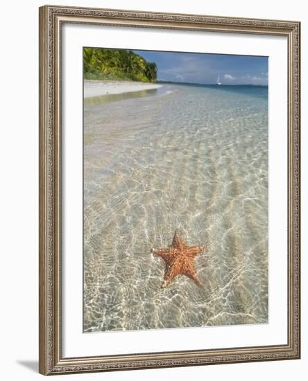 Starfish Beach, Bocas Del Drago, Isla Colon, Bocas Del Toro, Panama, Central America-null-Framed Photographic Print