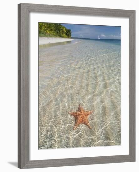 Starfish Beach, Bocas Del Drago, Isla Colon, Bocas Del Toro, Panama, Central America-null-Framed Photographic Print