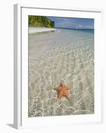 Starfish Beach, Bocas Del Drago, Isla Colon, Bocas Del Toro, Panama, Central America-null-Framed Photographic Print