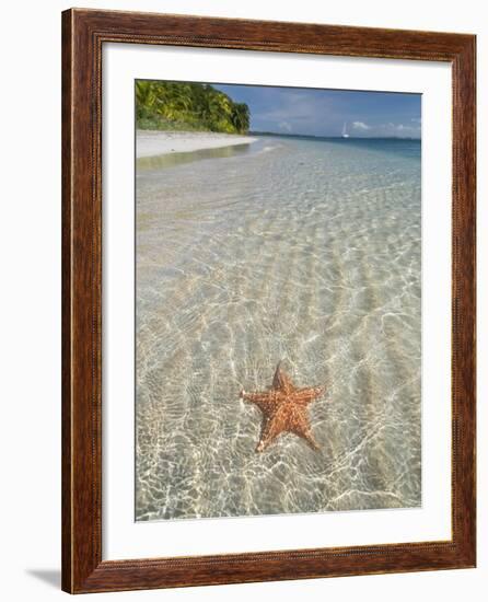 Starfish Beach, Bocas Del Drago, Isla Colon, Bocas Del Toro, Panama, Central America-null-Framed Photographic Print