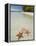 Starfish Beach, Bocas Del Drago, Isla Colon, Bocas Del Toro, Panama, Central America-null-Framed Premier Image Canvas