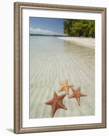 Starfish Beach, Bocas Del Drago, Isla Colon, Bocas Del Toro, Panama, Central America-null-Framed Photographic Print