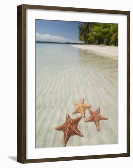 Starfish Beach, Bocas Del Drago, Isla Colon, Bocas Del Toro, Panama, Central America-null-Framed Photographic Print