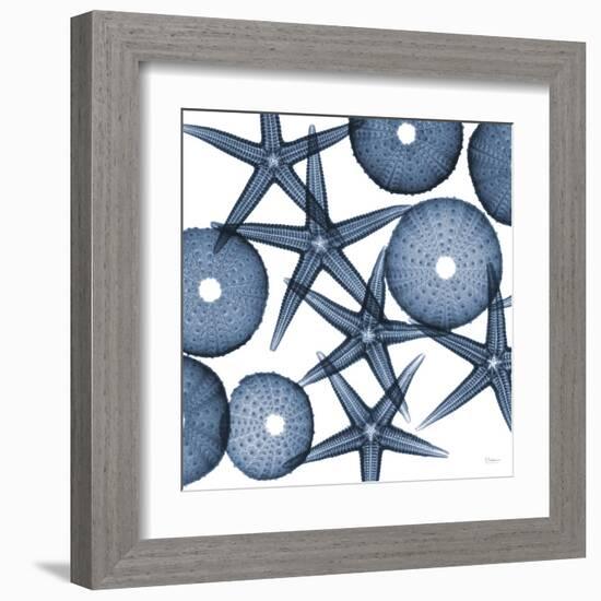 Starfish Blues-Albert Koetsier-Framed Art Print