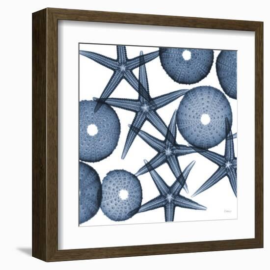 Starfish Blues-Albert Koetsier-Framed Art Print