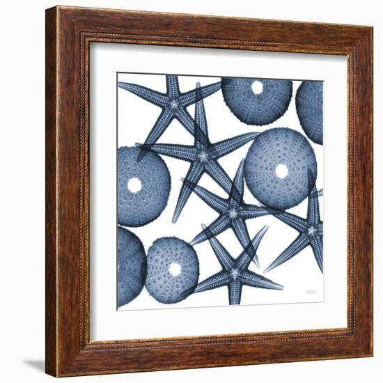 Starfish Blues-Albert Koetsier-Framed Art Print