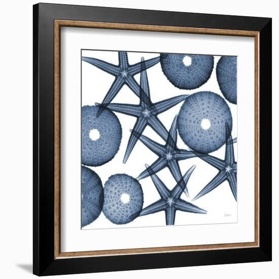 Starfish Blues-Albert Koetsier-Framed Art Print