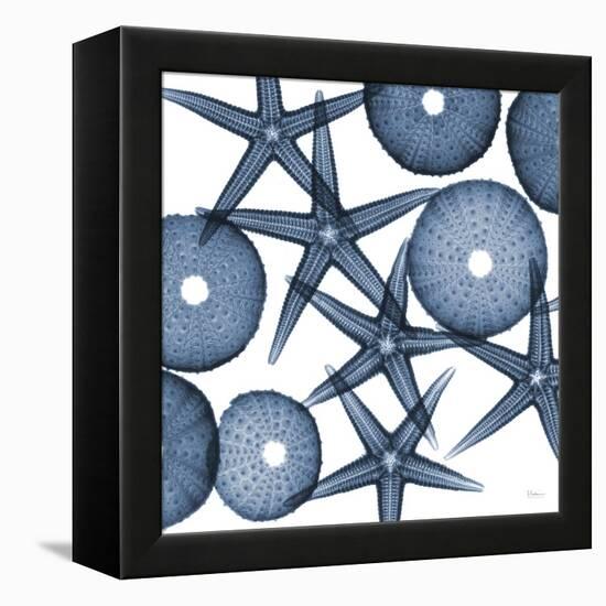 Starfish Blues-Albert Koetsier-Framed Stretched Canvas