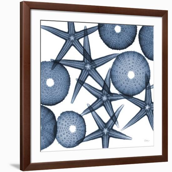 Starfish Blues-Albert Koetsier-Framed Premium Giclee Print