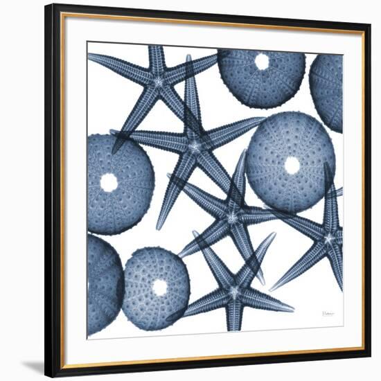 Starfish Blues-Albert Koetsier-Framed Premium Giclee Print