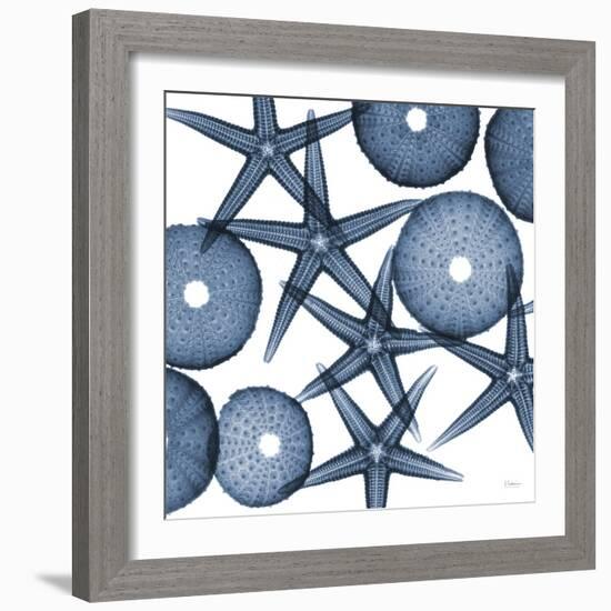 Starfish Blues-Albert Koetsier-Framed Art Print