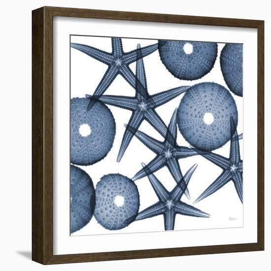 Starfish Blues-Albert Koetsier-Framed Art Print