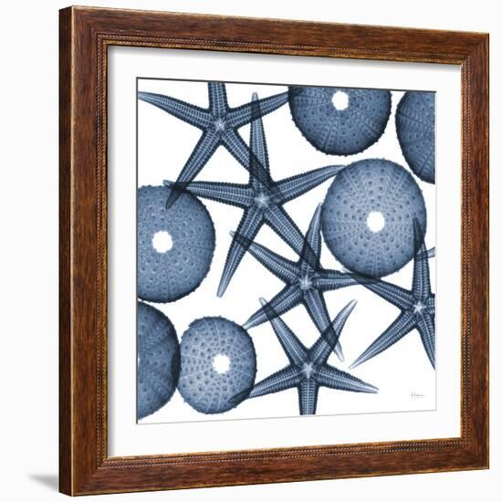 Starfish Blues-Albert Koetsier-Framed Art Print