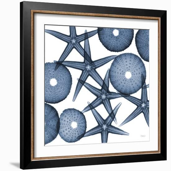 Starfish Blues-Albert Koetsier-Framed Art Print