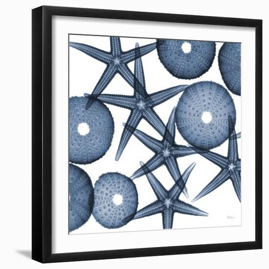 Starfish Blues-Albert Koetsier-Framed Art Print