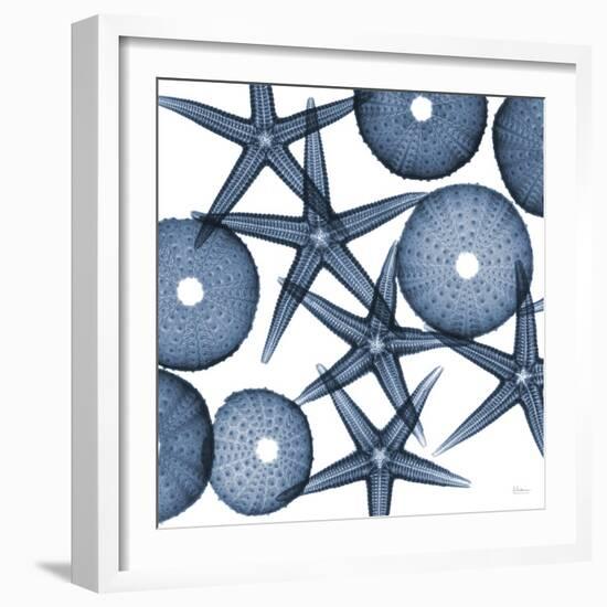 Starfish Blues-Albert Koetsier-Framed Art Print