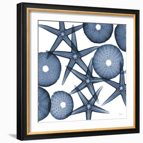 Starfish Blues-Albert Koetsier-Framed Art Print