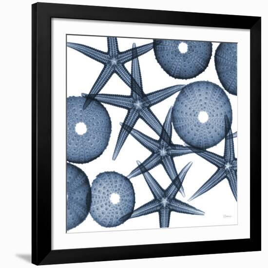 Starfish Blues-Albert Koetsier-Framed Premium Giclee Print