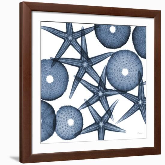 Starfish Blues-Albert Koetsier-Framed Premium Giclee Print