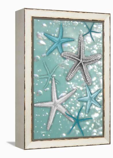Starfish Bubbles-Diane Stimson-Framed Stretched Canvas