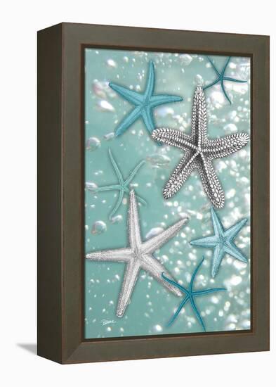 Starfish Bubbles-Diane Stimson-Framed Stretched Canvas