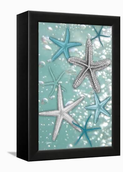 Starfish Bubbles-Diane Stimson-Framed Stretched Canvas