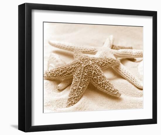 Starfish Family-null-Framed Art Print