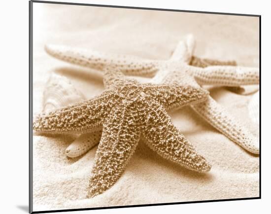 Starfish Family-null-Mounted Art Print