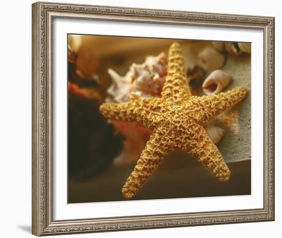 Starfish I-Philip Clayton-thompson-Framed Photo